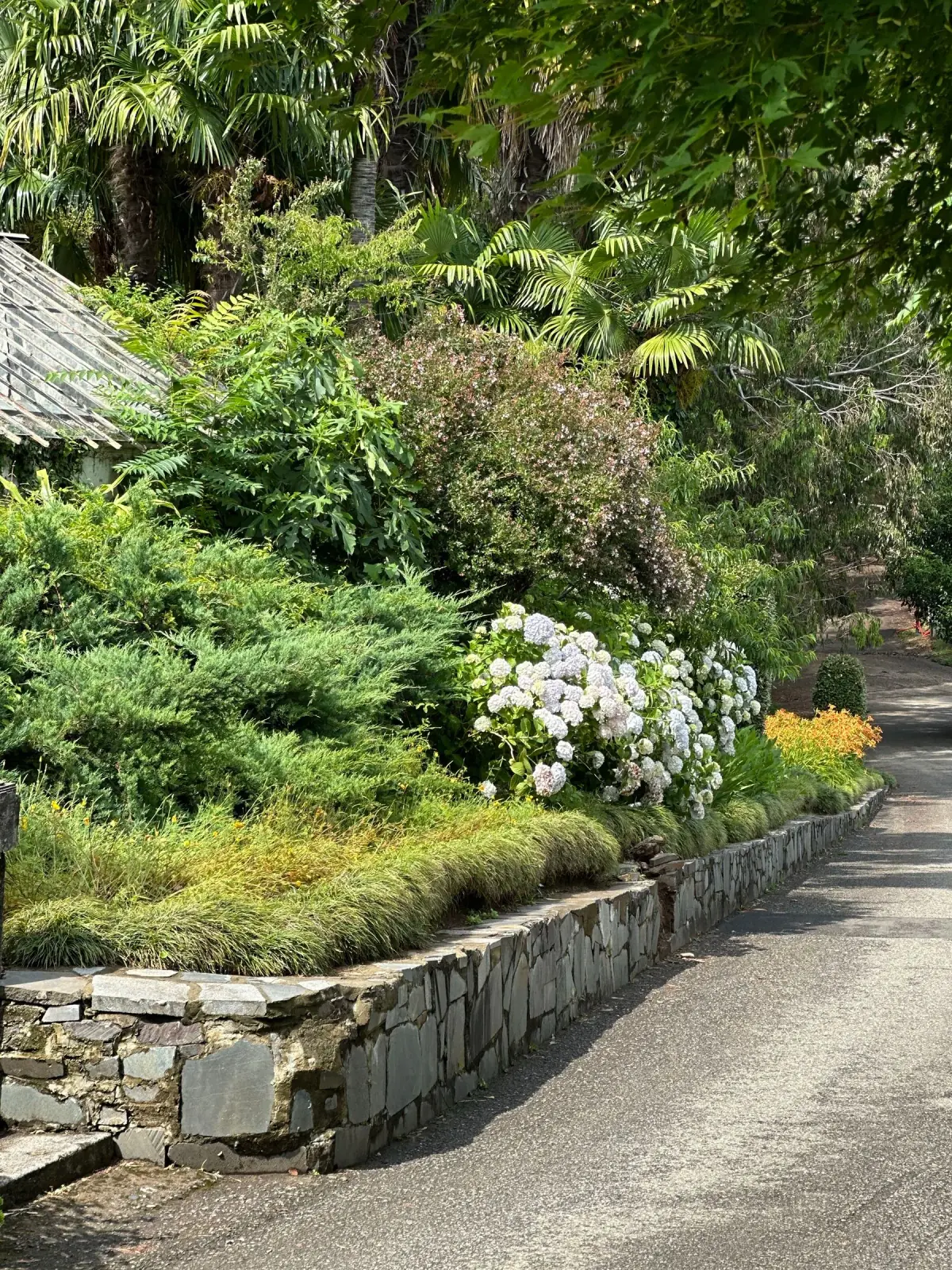 Layered tropical planting beside a stone garden path